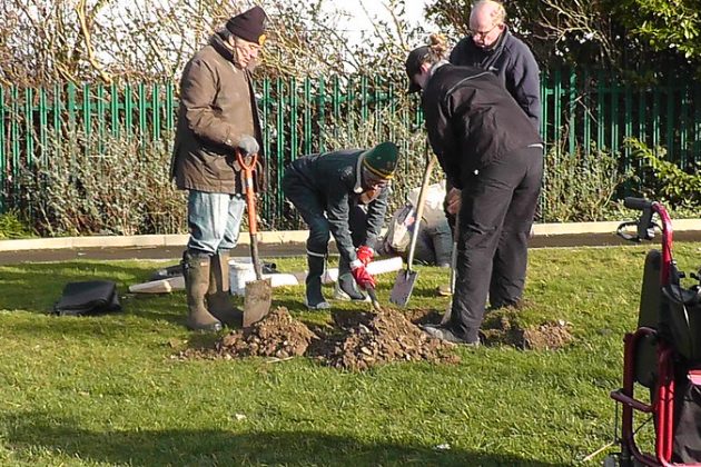 Fruit tree planting workshop