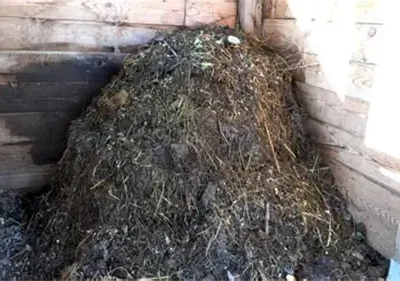 Compost toilets