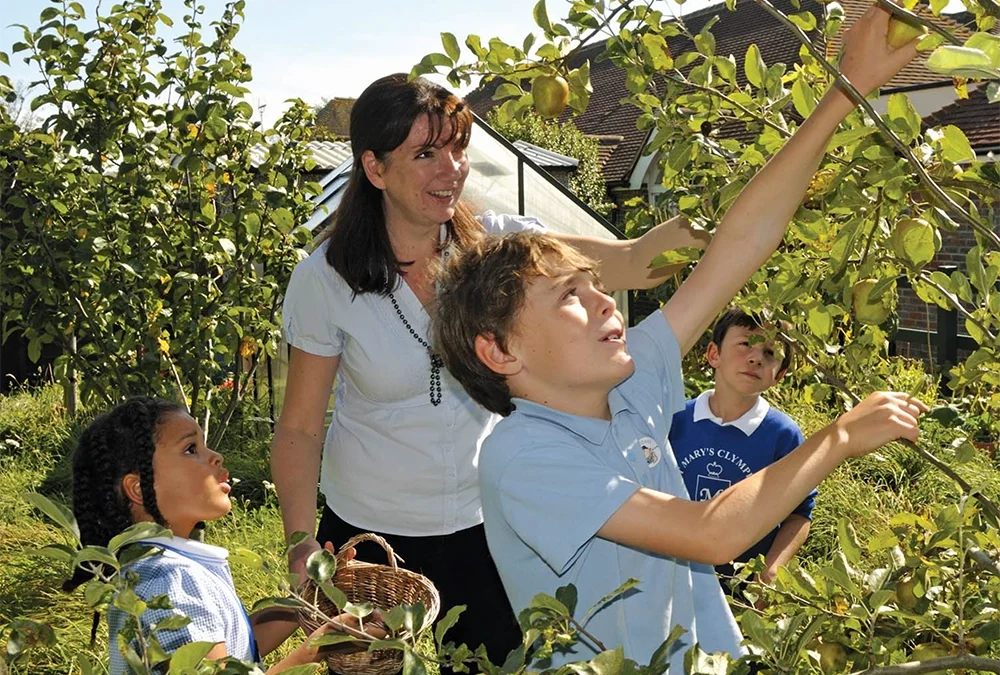 Our Apple Orchards
