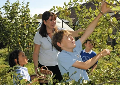 Our Apple Orchards