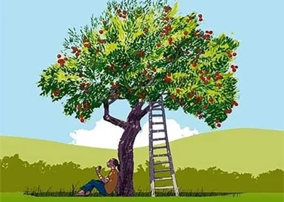 Apples & Orchards in Sussex