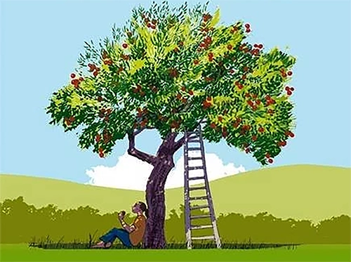 Apples & Orchards in Sussex