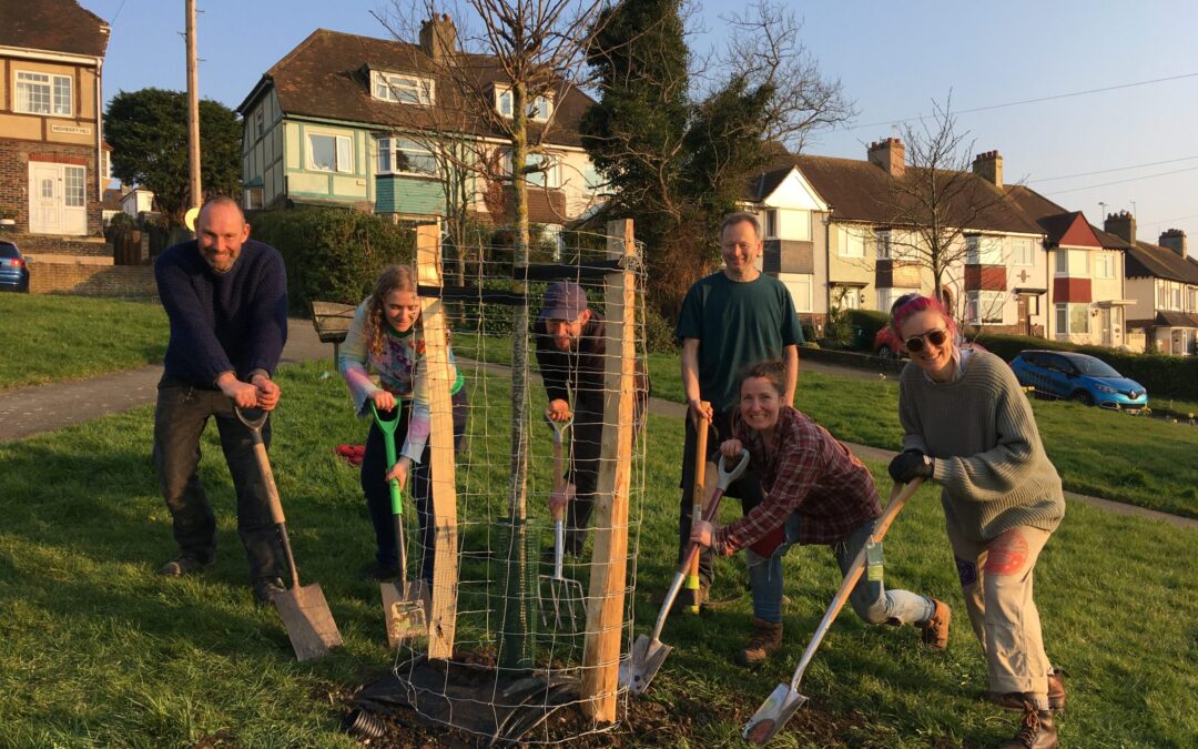 How planting trees supports permaculture principles