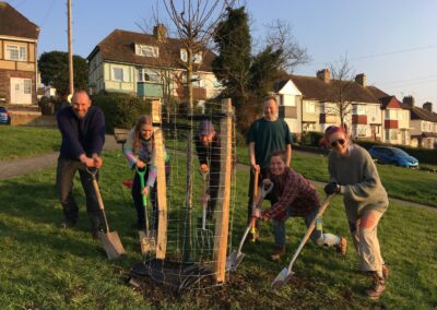 How planting trees supports permaculture principles