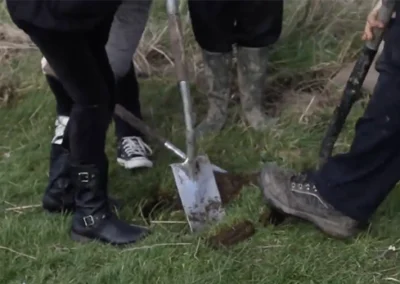 Video: How to plant a tree