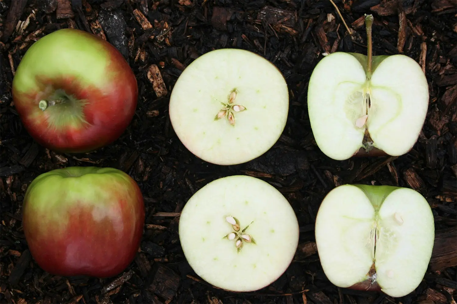 sliced apple