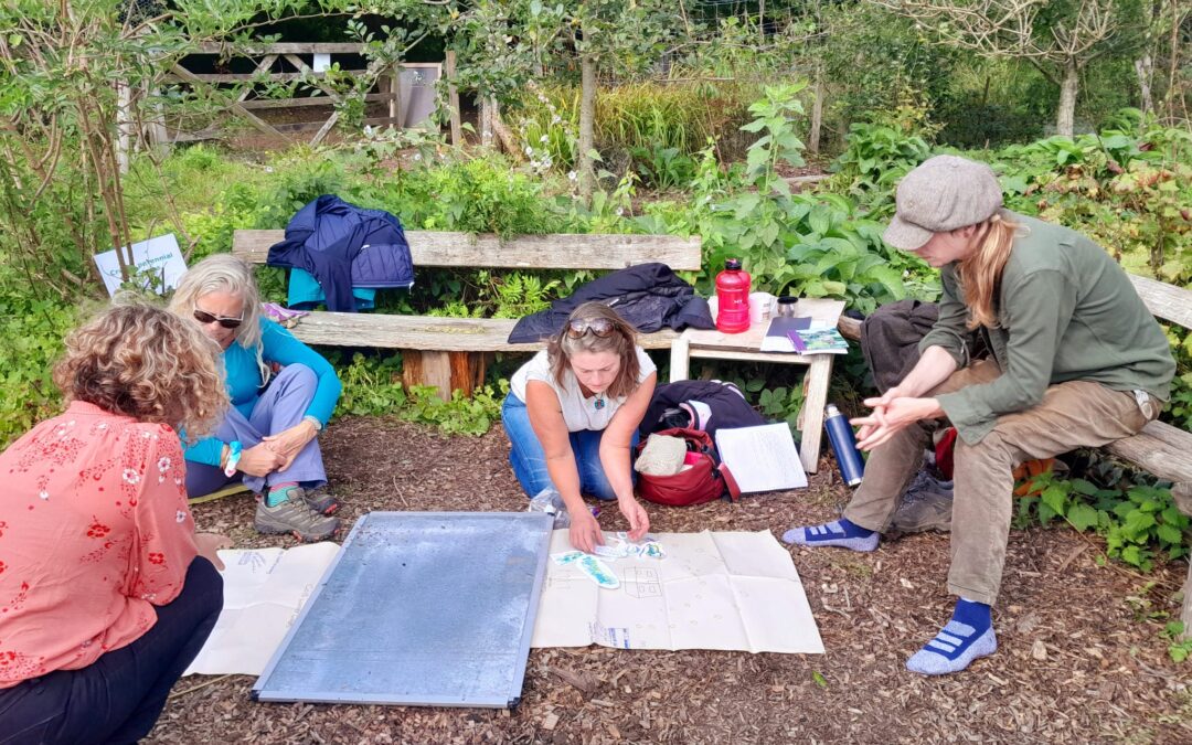 Practical permaculture gardening