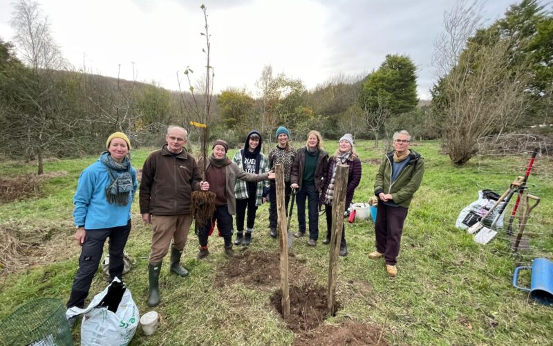 Planning and planting a small orchard