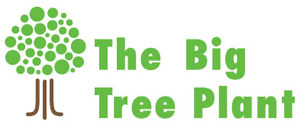 East Brighton Trust