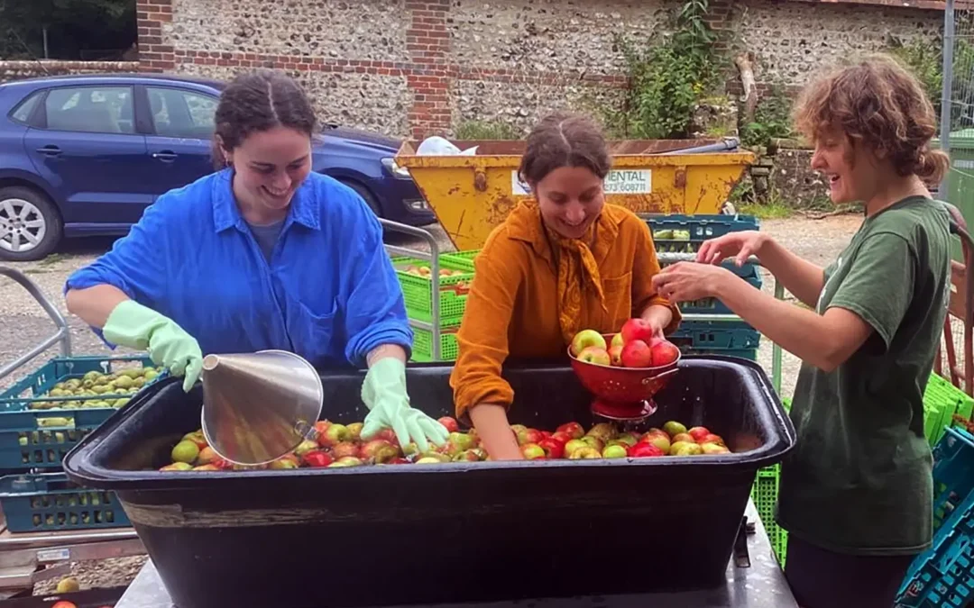 Permaculture Principles
