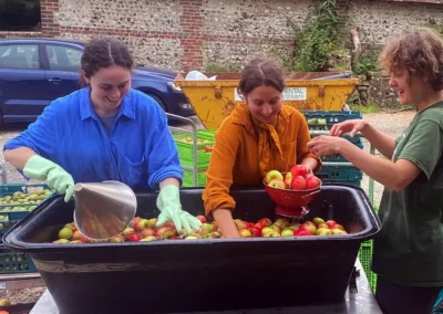Permaculture Principles