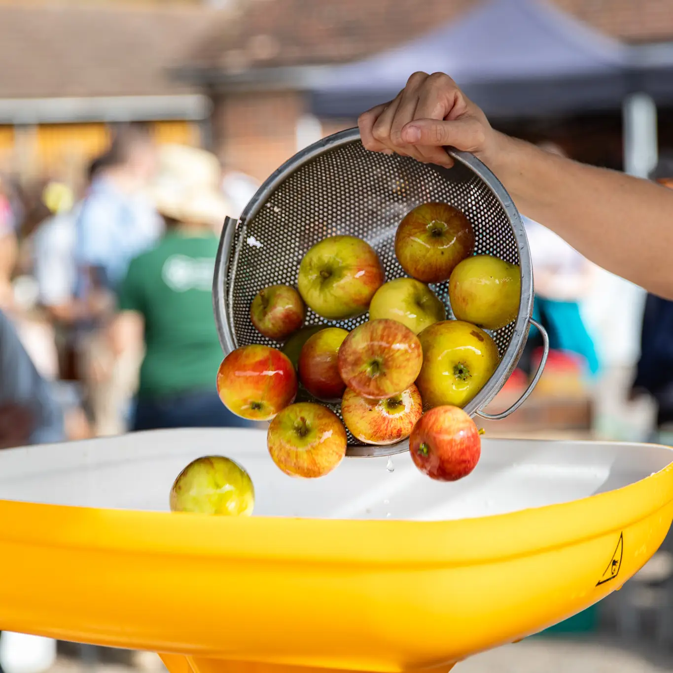 apples for juicing