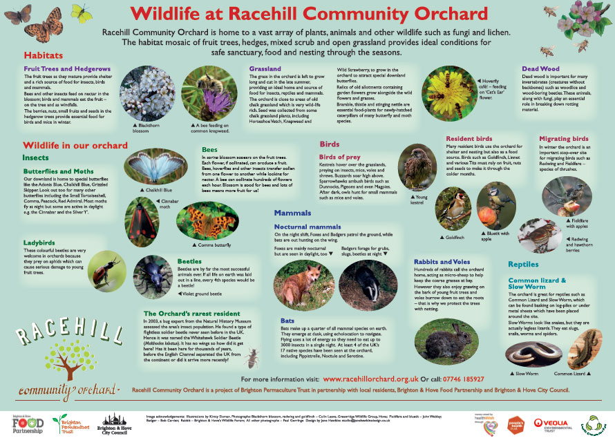 racehill wildlife