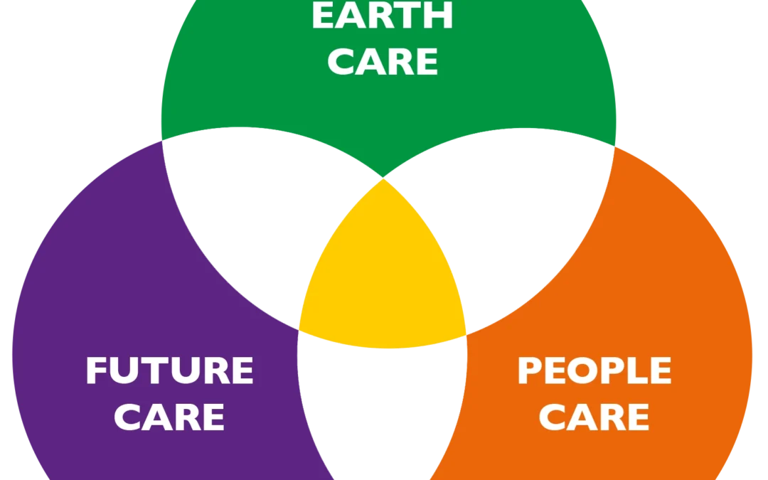 Permaculture design course