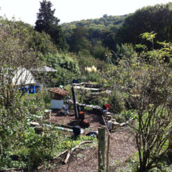 Permaculture Plot