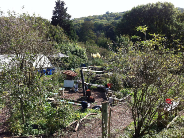 Permaculture Plot