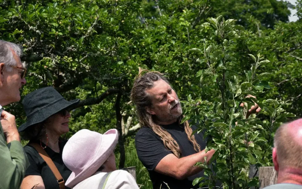 Care of fruit trees
