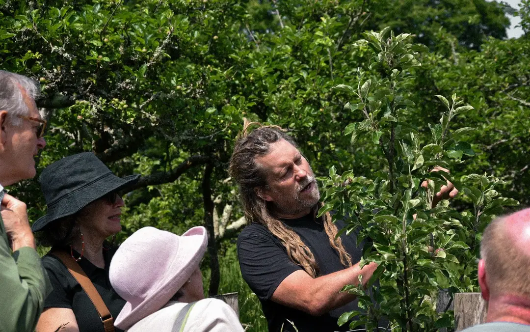 Care of fruit trees