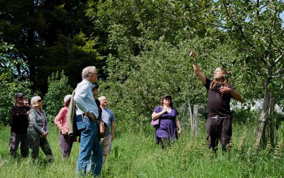 Care of fruit trees course 2025. Photo by Caitlin Brown.