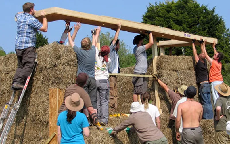 Building with straw bales