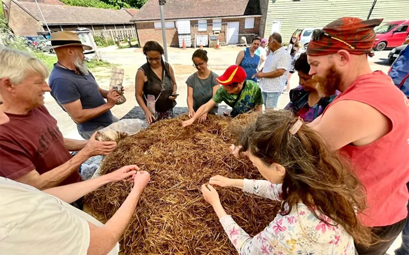 Gourmet mushroom growing workshop