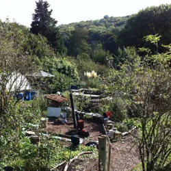 Permaculture Plot at Stanmer Organics