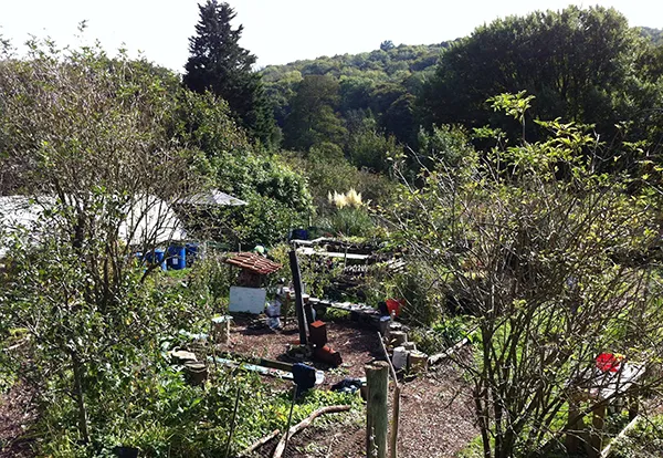 Permaculture Plot at Stanmer Organics