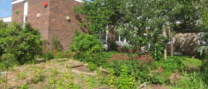 School forest garden