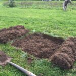 Bevendean tree planting prep