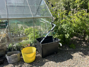 Rainwater harvesting from greenhouse