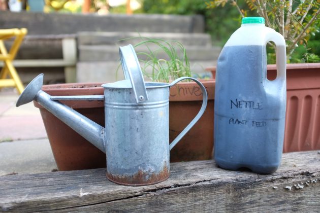watering can and plant feed