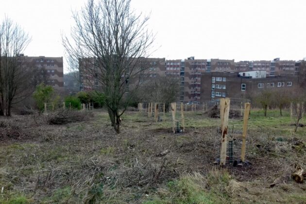 Racehill Community Orchard