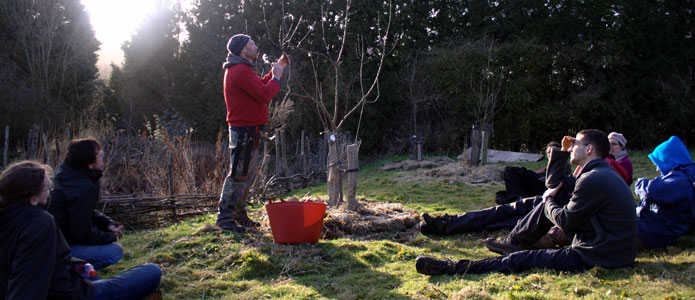 https://brightonpermaculture.org.uk/wp-content/uploads/courses/careoftrees/slideshow/careoffruittrees09.jpg