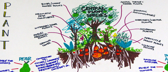 https://brightonpermaculture.org.uk/wp-content/uploads/courses/design/permaculturedesign06.jpg