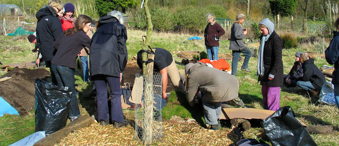 https://brightonpermaculture.org.uk/wp-content/uploads/courses/permaculture/slideshow/permaculturecourse09.jpg