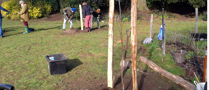 https://brightonpermaculture.org.uk/wp-content/uploads/courses/planting/slideshow/treeplanting01.jpg