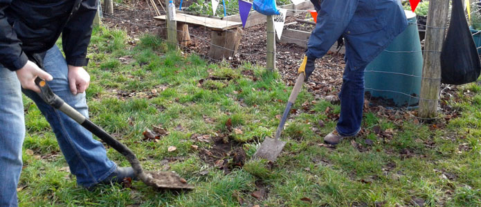 https://brightonpermaculture.org.uk/wp-content/uploads/courses/planting/slideshow/treeplanting02.jpg