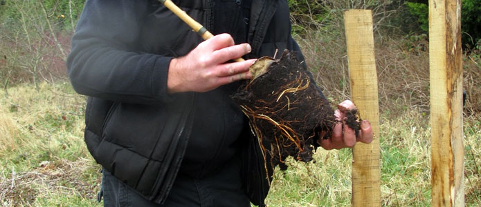 https://brightonpermaculture.org.uk/wp-content/uploads/courses/planting/slideshow/treeplanting04.jpg