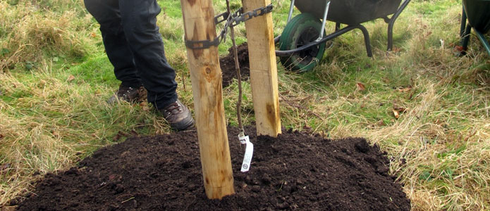 https://brightonpermaculture.org.uk/wp-content/uploads/courses/planting/slideshow/treeplanting05.jpg