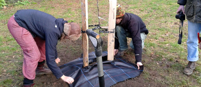 https://brightonpermaculture.org.uk/wp-content/uploads/courses/planting/slideshow/treeplanting06.jpg