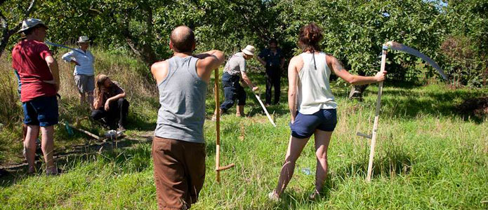 https://brightonpermaculture.org.uk/wp-content/uploads/courses/scything/slideshow/scything03a.jpg