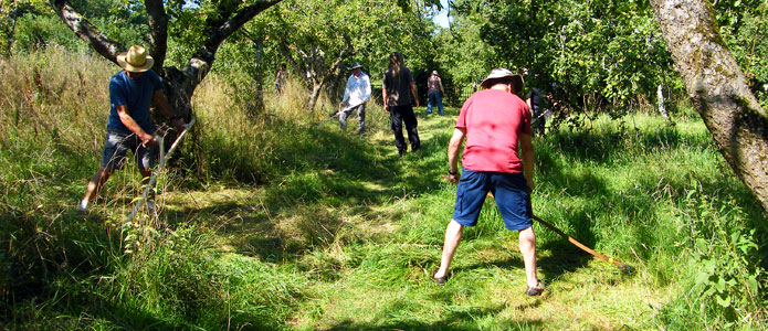 https://brightonpermaculture.org.uk/wp-content/uploads/courses/scything/slideshow/scything05a.jpg