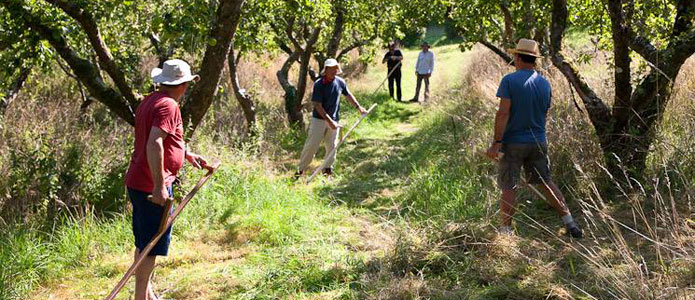 https://brightonpermaculture.org.uk/wp-content/uploads/courses/scything/slideshow/scything09.jpg