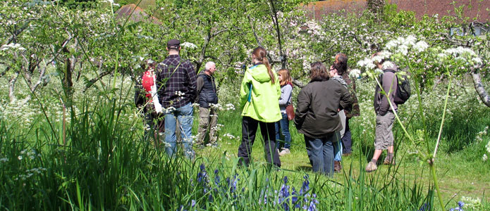 https://brightonpermaculture.org.uk/wp-content/uploads/fruit/homefarm/orchards03.jpg