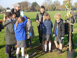 Chichester Community Orchard