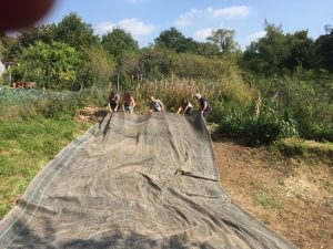 Laying the pond liner