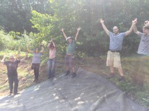 Pond liner at the plot