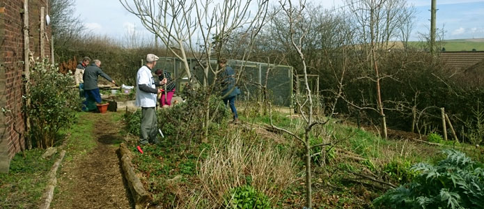 Hertford Junior School Forest Garden