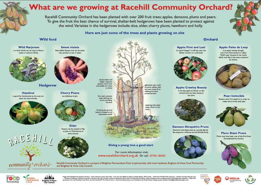 What are we growing at Racehill Community Orchard?
