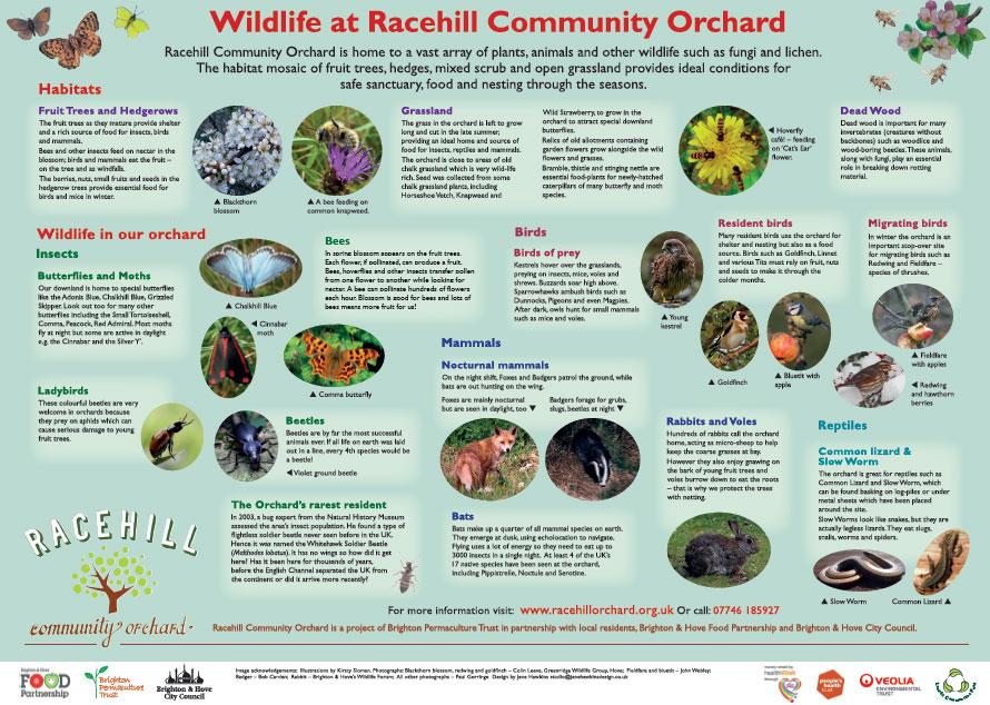 Wildlife at Racehill Community Orchard